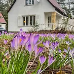 Ferienhaus Am Weissen Adler