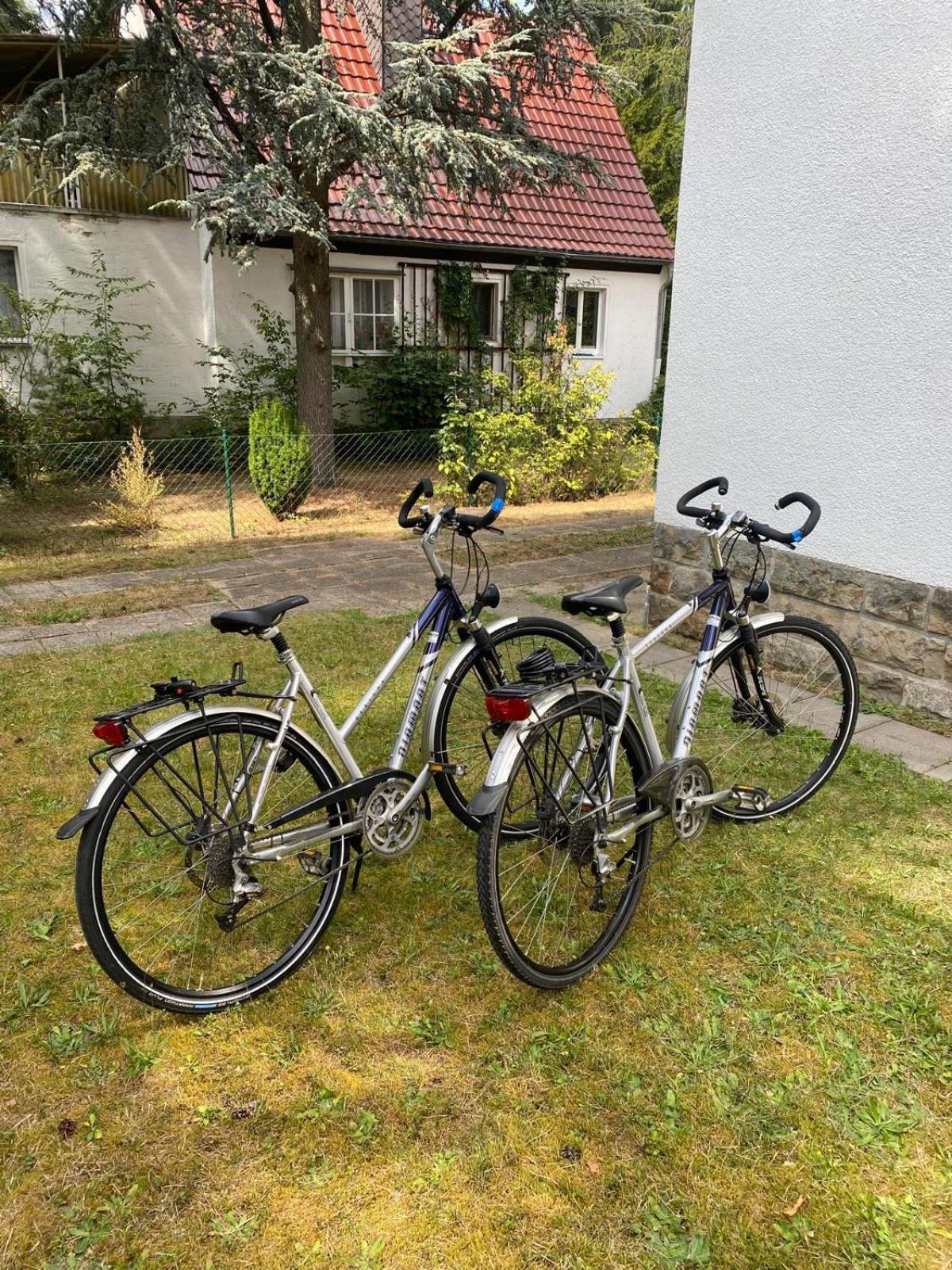 Am Weissen Adler Ferienhaus
